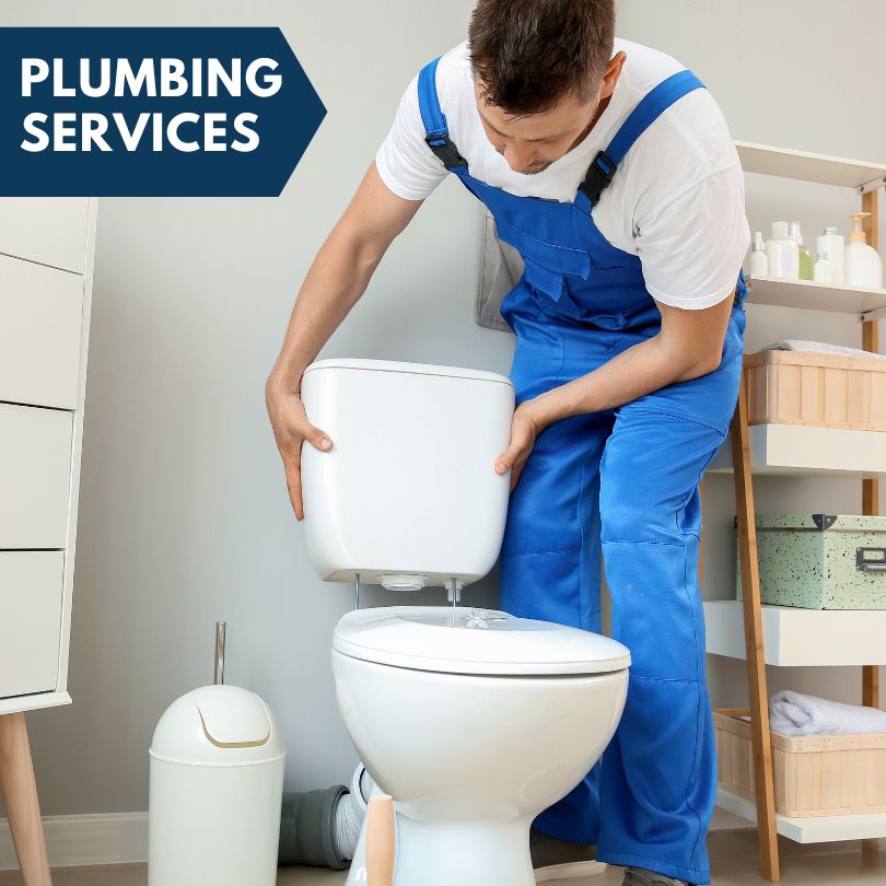 Plumbing Company in Silverwood, MI